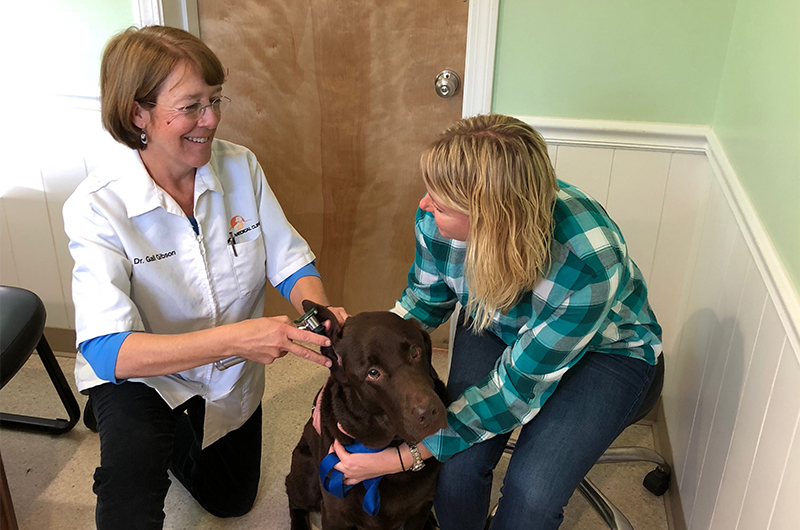 doctor with dog and owner